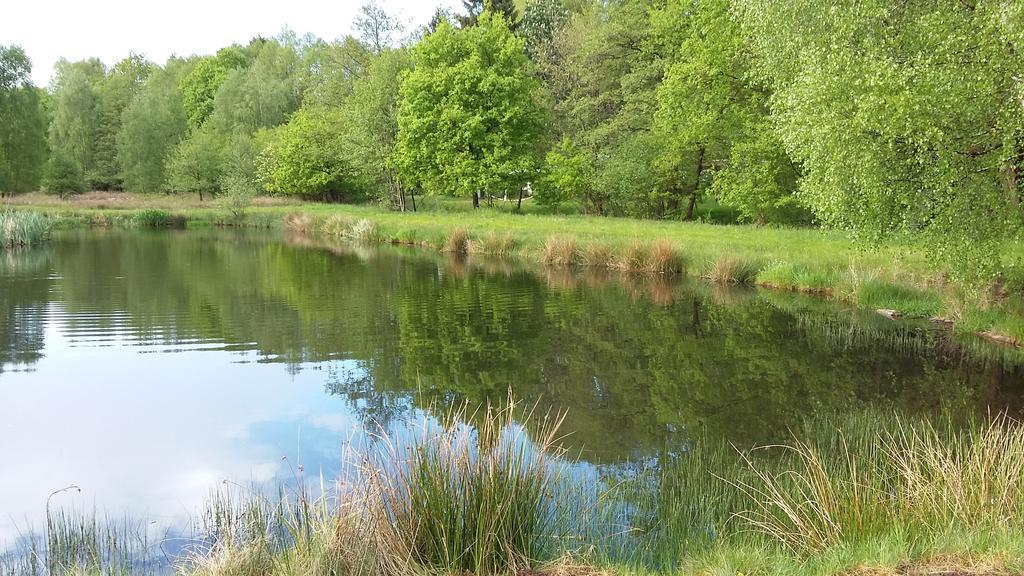 Gastezimmer - Campingplatz Am Muhlenbach Soltau Extérieur photo